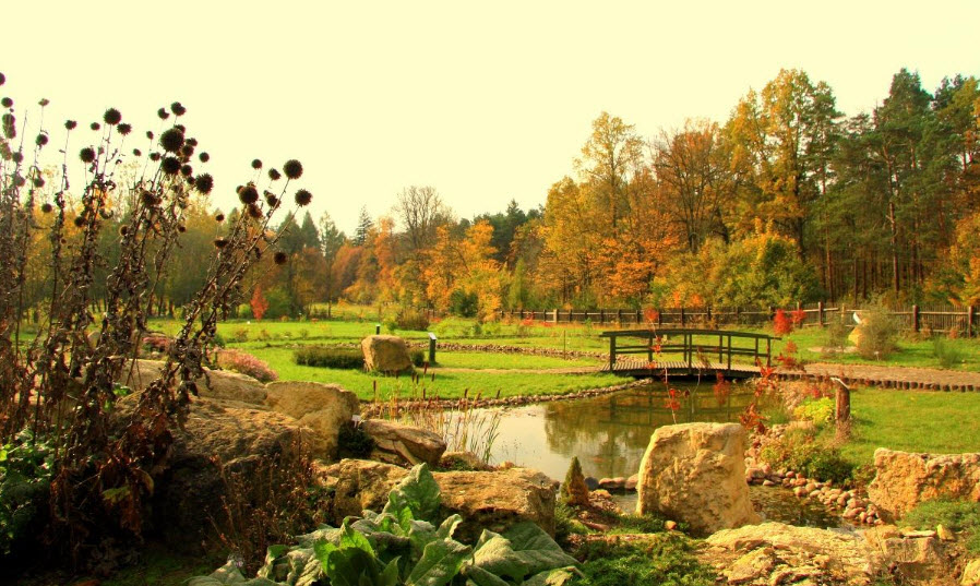 Arboretum Forest District Marcule, Marcule, Poland, Poland
